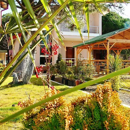 A Beautiful House Gjiri Lalzit Hébergement de vacances Fushe-Drac
